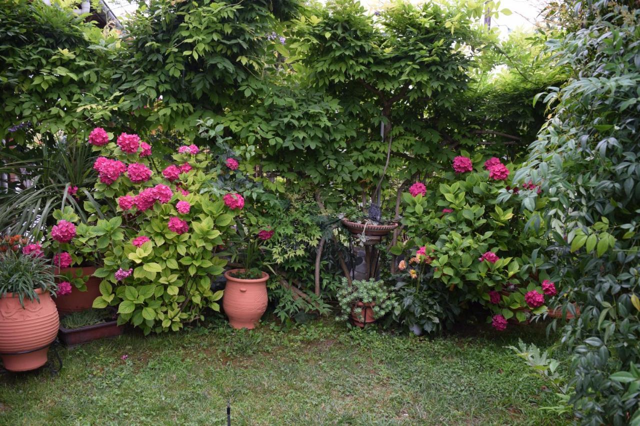 Garden's
