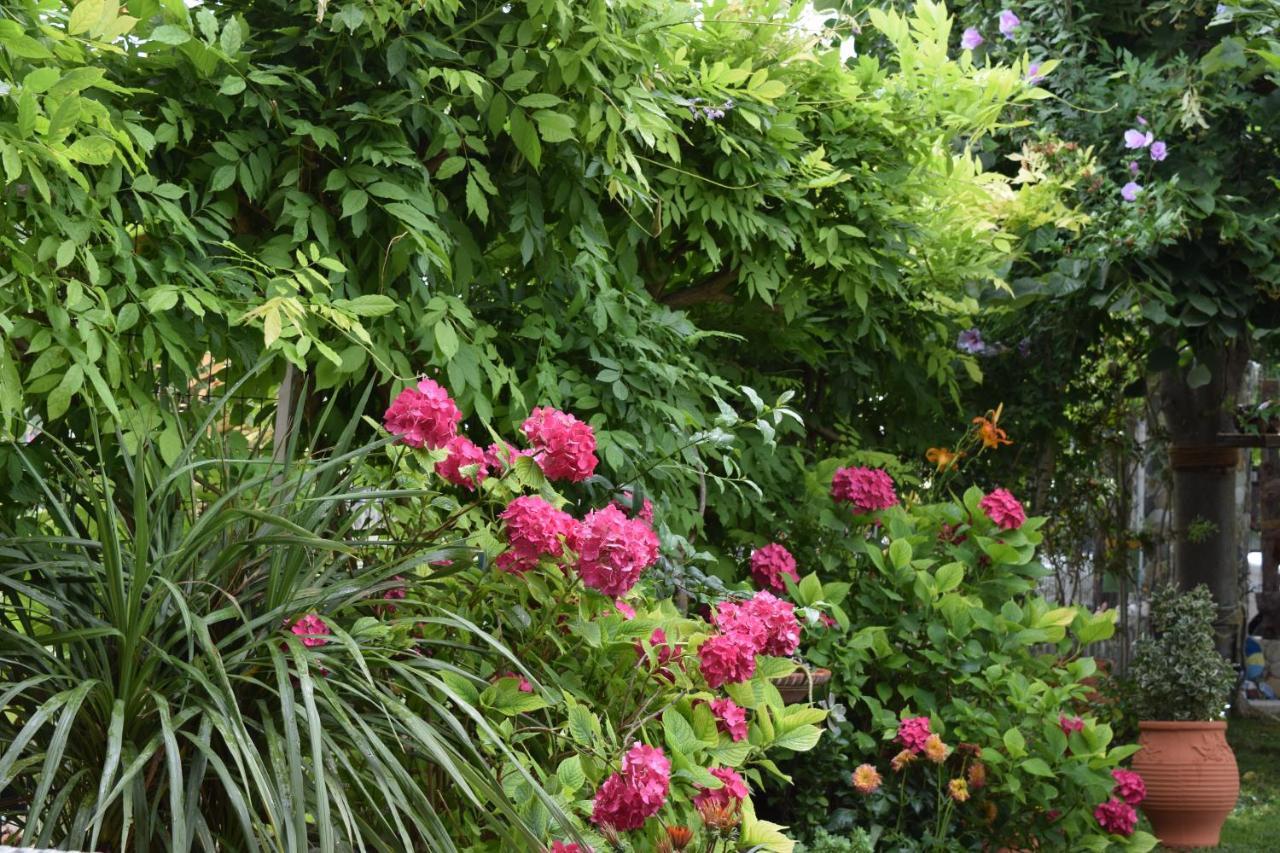 Garden's Villa