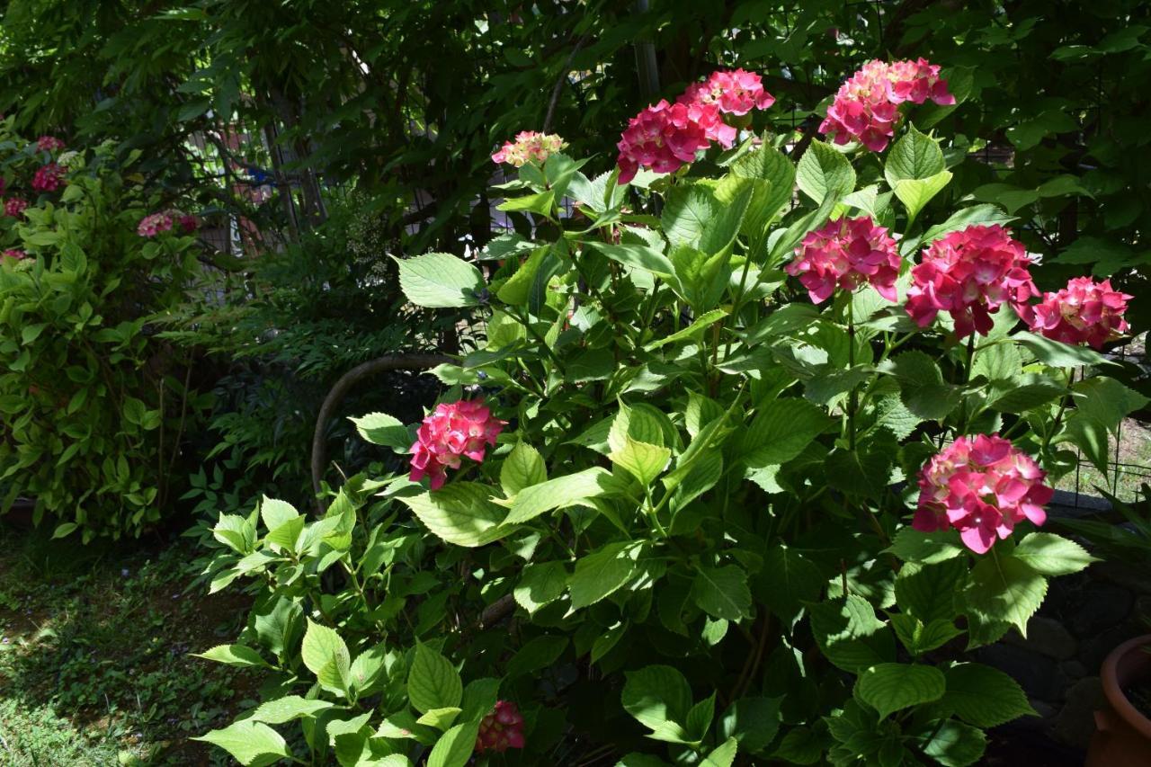 Garden's * Leptokarya (Pieria)