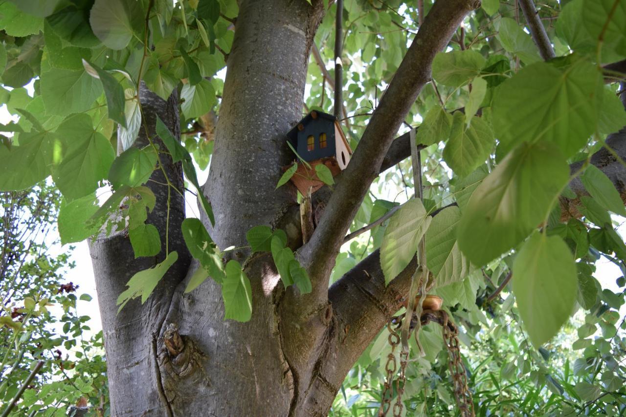 Garden's Leptokaryá