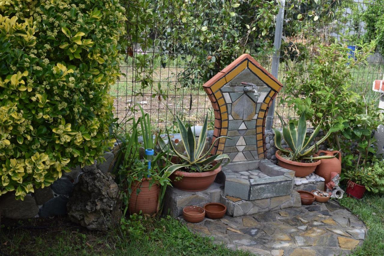 Villa Garden's