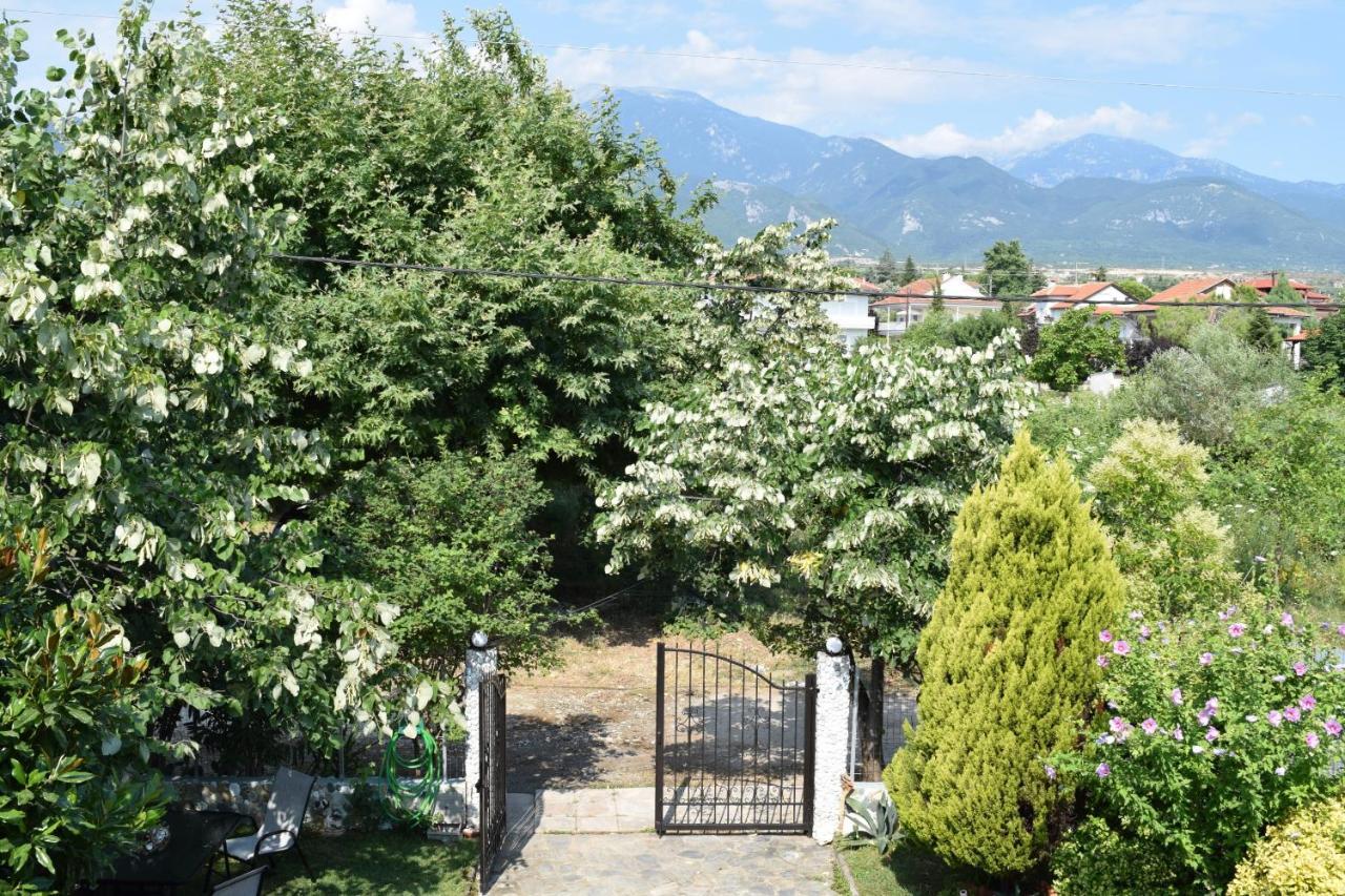Villa Garden's